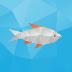 Polygonal fish