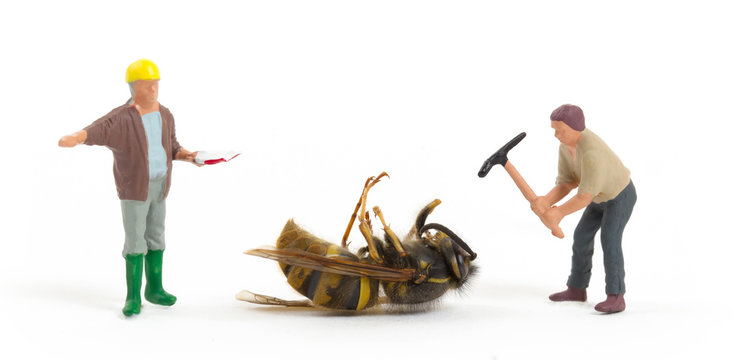 Dead wasp with miniature figurines