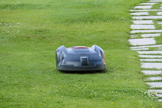 Tondeuse robot
