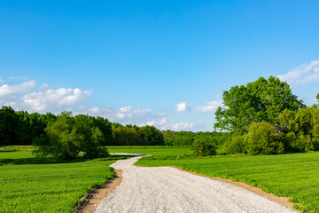 Road between fields