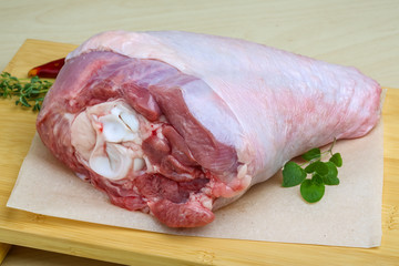 Raw turkey leg