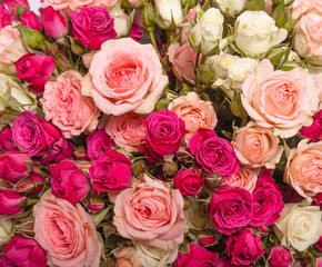 Assorted roses 