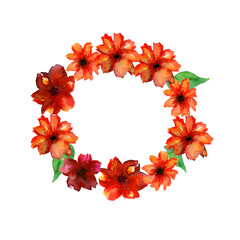 White background with wildflowers and copy space