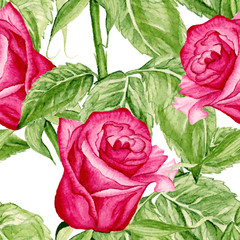 Vector Seamless  Roses Watercolor Pattern