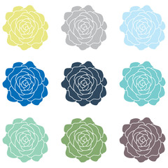 Spring Summer Flower