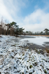 Snow on the ice of the natural pond.