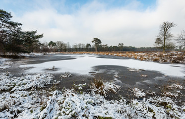 Snow on the ice of the natural pond.