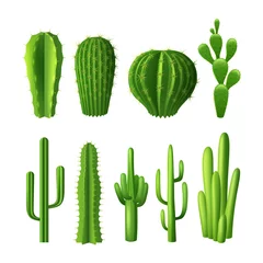 Raamstickers Cactus Cactus Realistische Set