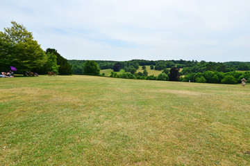 The English countryside in Surrey, England on a summers day in July.