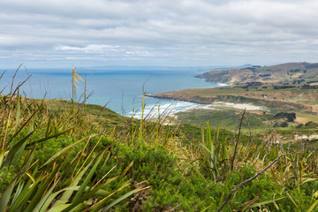 Coastal view from top of the mouintain. New Zealand, Otago Penin