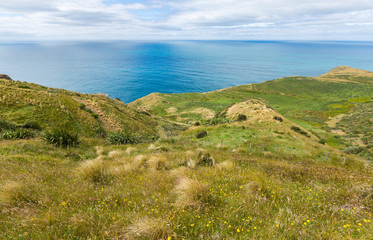 Fototapeta na wymiar Coastal view from top of the mouintain. New Zealand, Otago Penin
