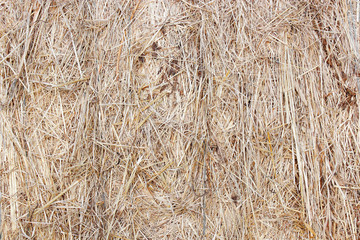 straw bale texture