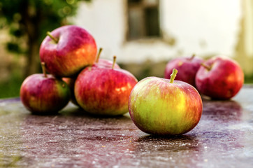 Bunch of Organic Apples on Table Outdoors