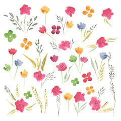 Vector Summer Flowers Watercolor