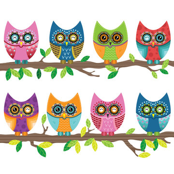 Colorful Cute Owl
