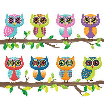 Cute Owl Collection Set