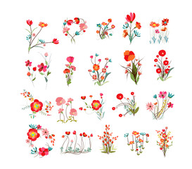Flowers Set