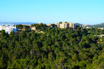 Obraz premium schoener wald und haeuser in barcelona