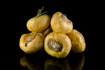 Maca - Lepidium meyenii