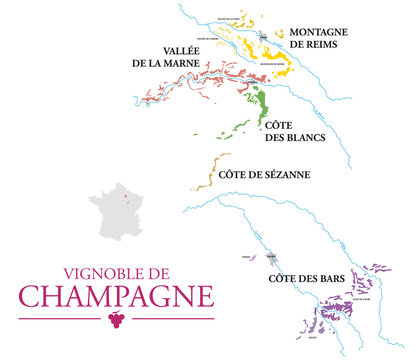 Fototapeta Vignoble de Champagne