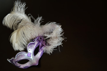 Venetian mask with feathers on a dark background
