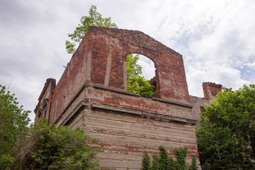 Fototapeta premium Baum im Fenster, Ruine