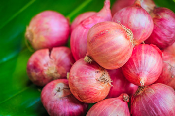 Red onions in green leaf