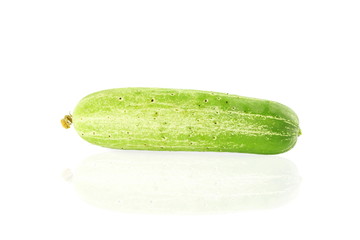 fresh cucumber on pure white background