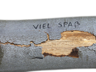 Dieses Foto zeigt einen freigestellten Baumstamm mit der Aufschrift "Viel Spaß".