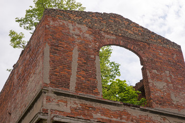 Baum im Fenster, Ruine