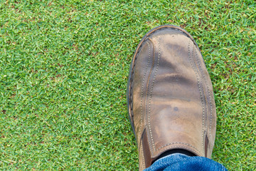 step on a lawn-1