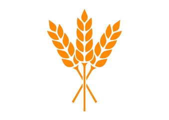 Orange cereal icon on white background