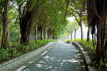 Fototapeta na wymiar path through the park
