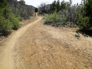 Curving dirt trail in the Horse Gulch Trail System in Durango, Colorado