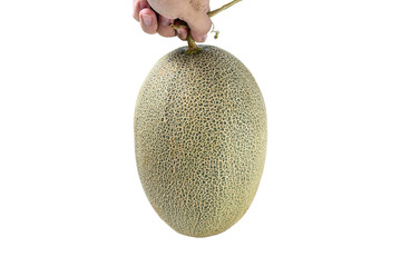 Honeydew Melon/A Juicy melon/A juicy honeydew melon