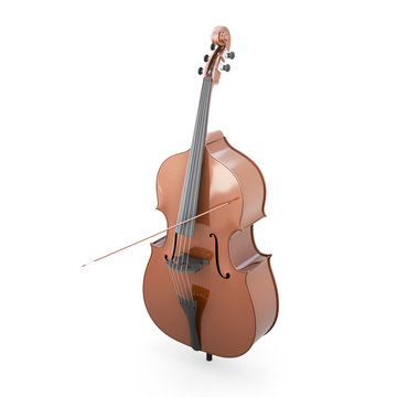 Contrabass on a white