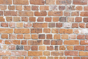 brick wall texture