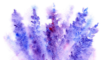 Watercolor lavender flower blossom background