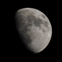Gibbous moon