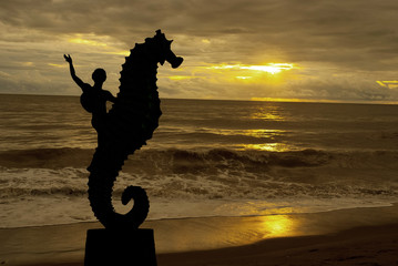 Puerto vallarta © jcfotografo
