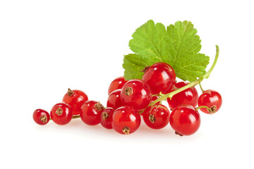 Ripe organic redcurrant