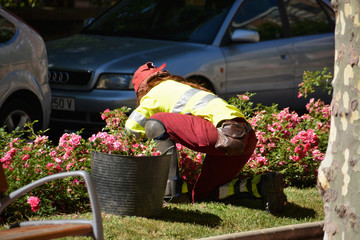 cuidando las flores de un jardin