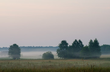 Naklejka na ściany i meble foggy morning in countryside