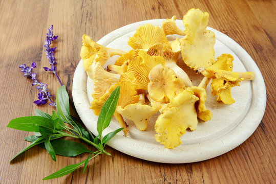 golden chanterelle mushrooms with sage flower