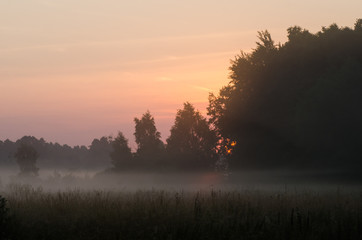 Fototapeta premium foggy morning in countryside