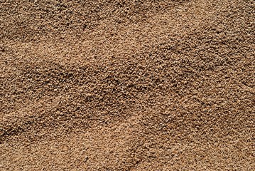 Distesa di chicchi di grano