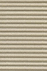 Fototapeta premium striped cardboard texture