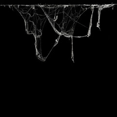cobweb or spider web in ancient thai house isolated on black background and copy space