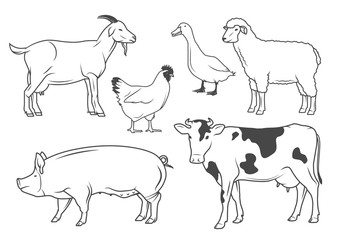 Farm animals