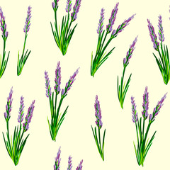 Fototapeta na wymiar Seamless Pattern with Lavender flowers. Vector illustration. Illustration for greeting cards, invitations, and other printing projects